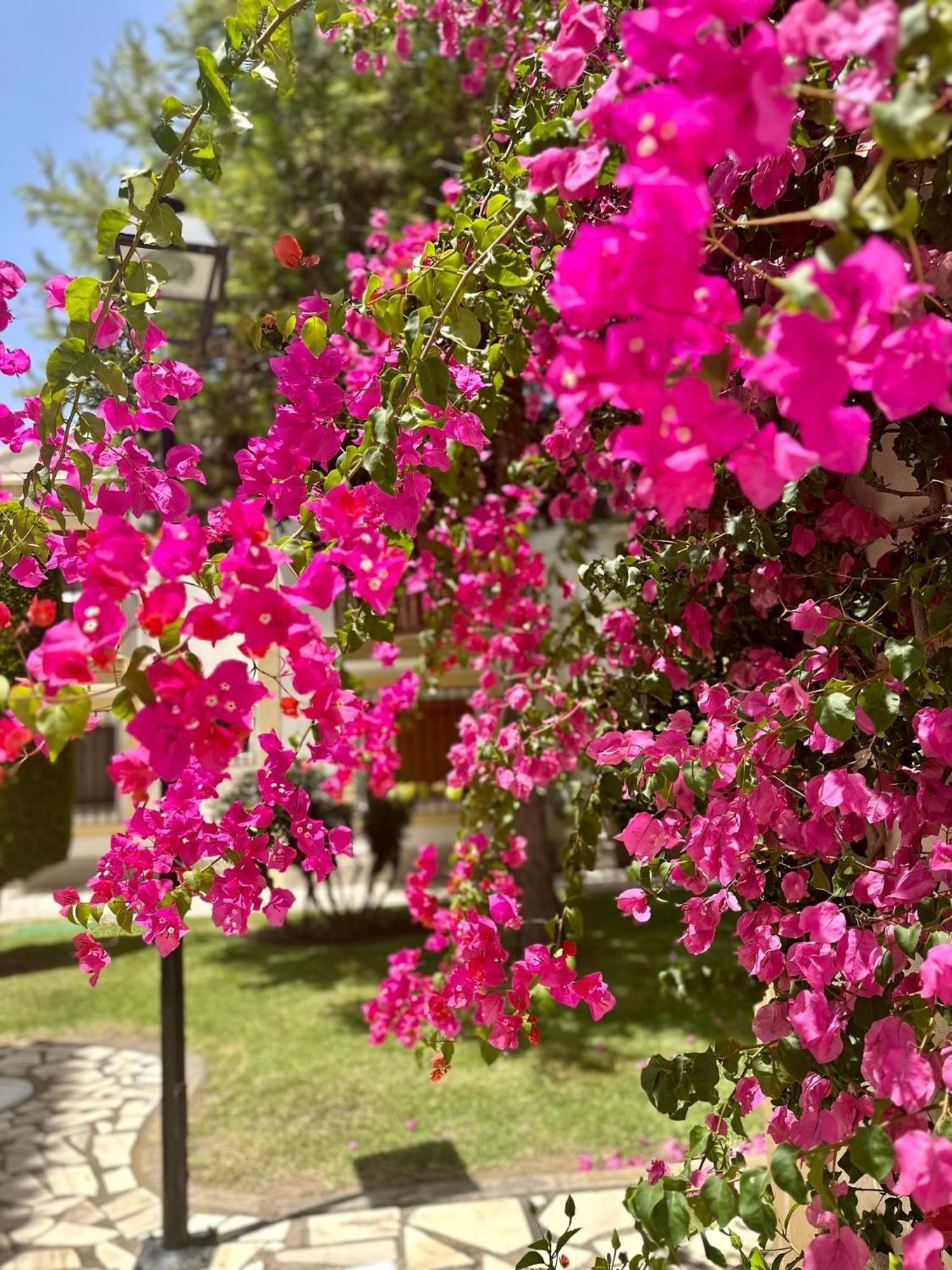 Casa Veranera Vera Costa Playas de Vera Eksteriør billede
