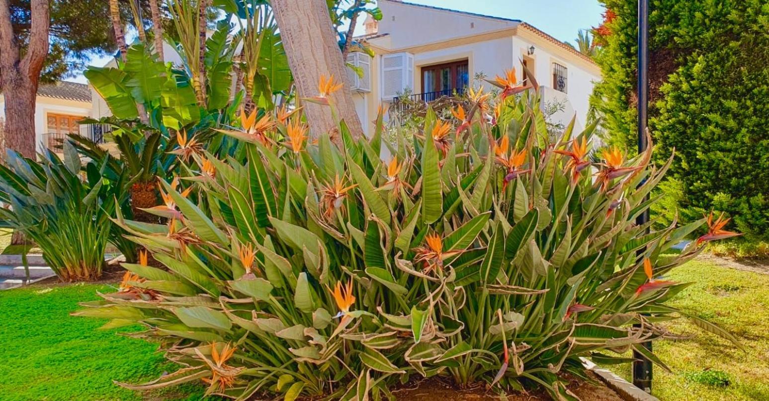 Casa Veranera Vera Costa Playas de Vera Eksteriør billede