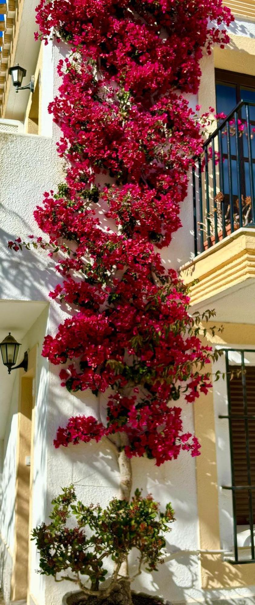 Casa Veranera Vera Costa Playas de Vera Eksteriør billede