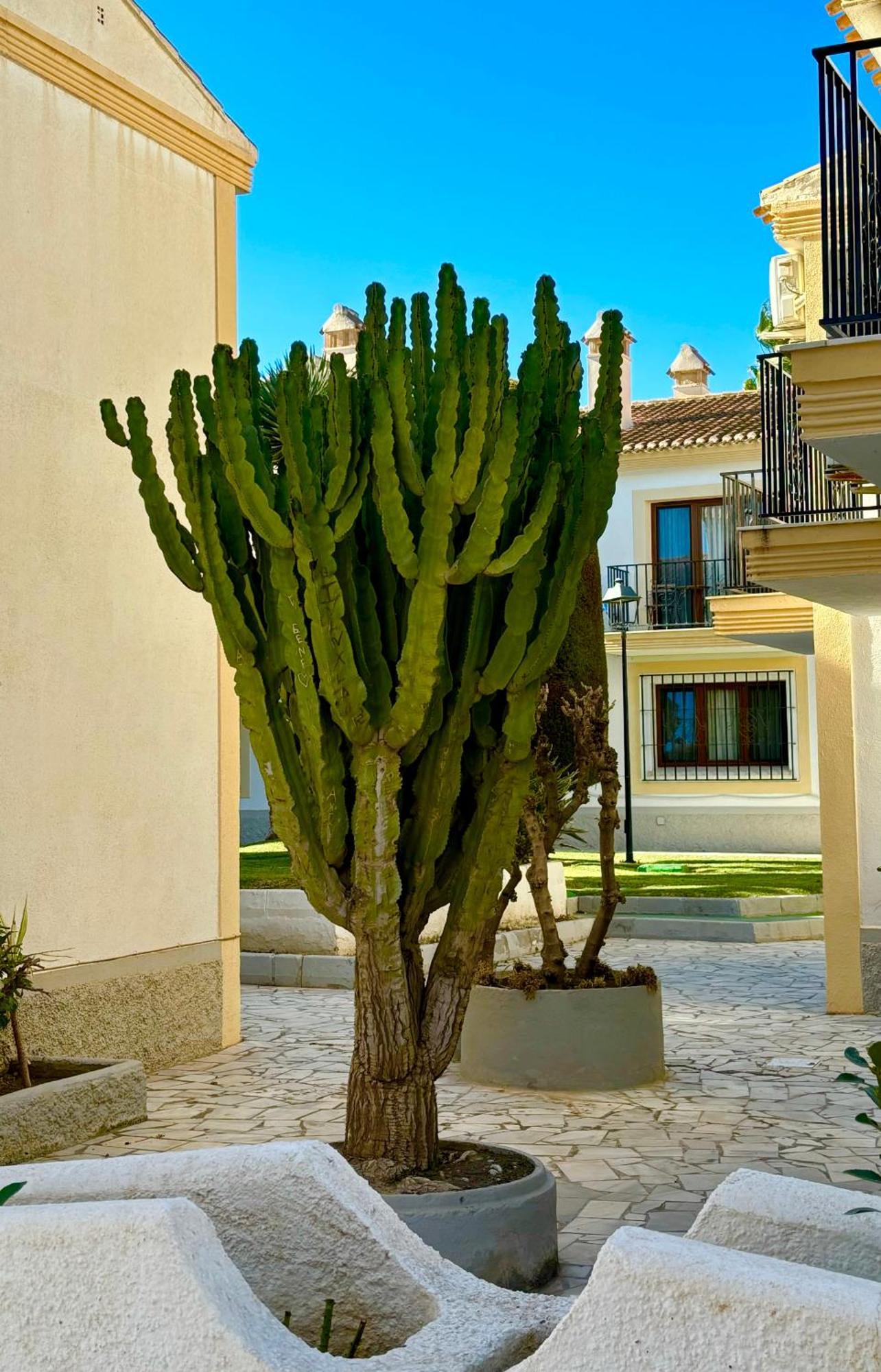 Casa Veranera Vera Costa Playas de Vera Eksteriør billede